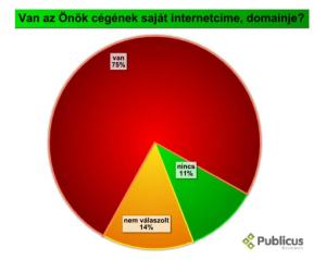 a_kkv_szektor_internetes_jelenléte[1]_Oldal_2