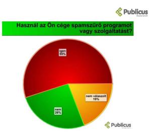 a_kkv_szektor_internetes_jelenléte[1]_Oldal_4