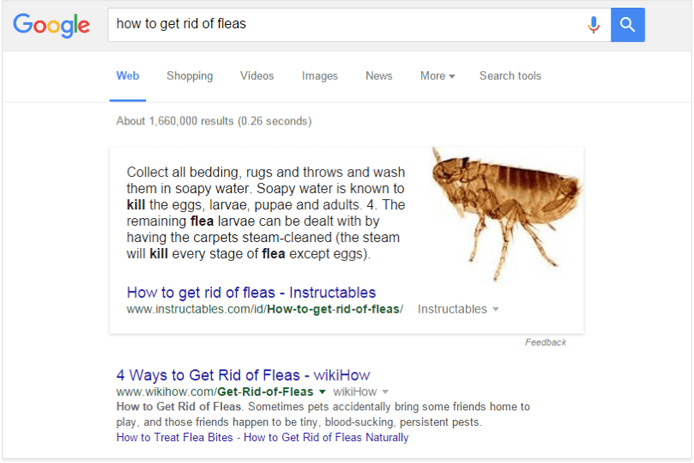 Google SEO gazdag válasz