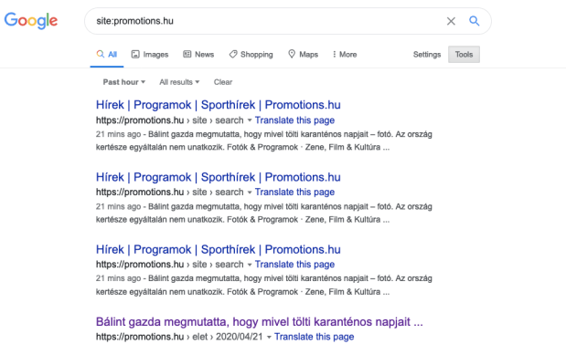 Képernyőfotó 2020-04-21 - 22.45.09